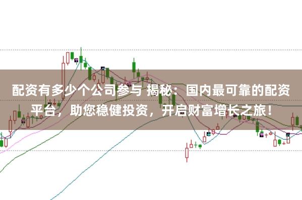 配资有多少个公司参与 揭秘:国内最可靠的配资平台,助您稳健投资,开启财富增长之旅!