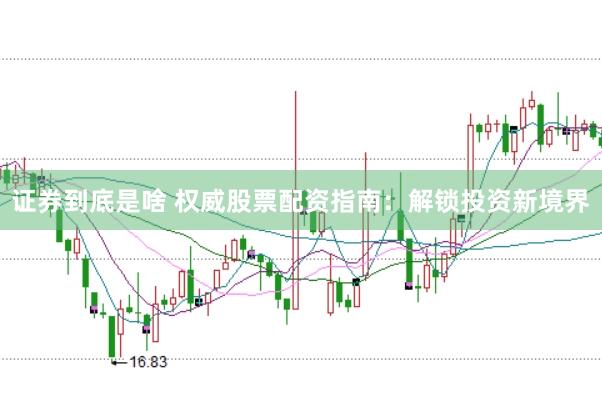 证券到底是啥 权威股票配资指南：解锁投资新境界