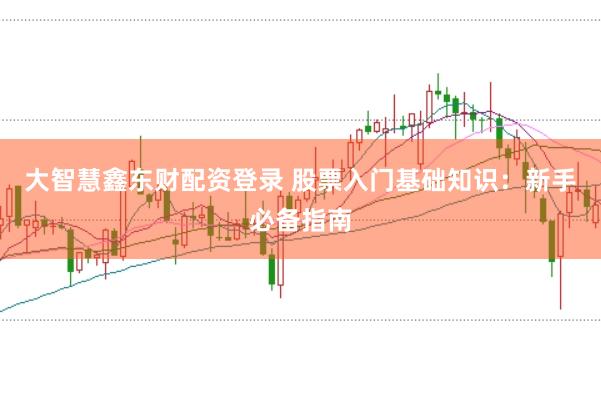 大智慧鑫东财配资登录 股票入门基础知识：新手必备指南