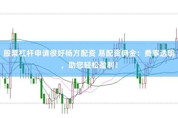 股票杠杆申请很好杨方配资 易配资佣金：费率透明，助您轻松盈利！