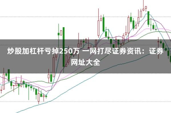 炒股加杠杆亏掉250万 一网打尽证券资讯：证券网址大全